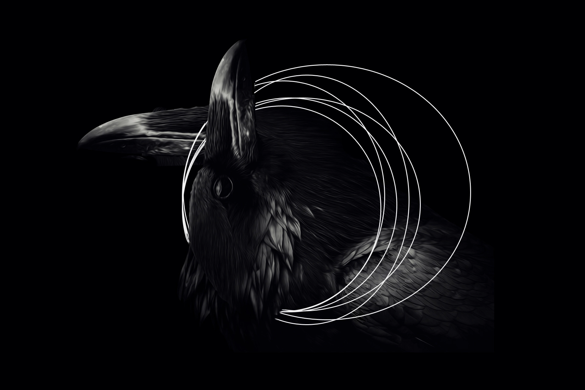 About Fleava - Indonesia & Singapore Digital Agency